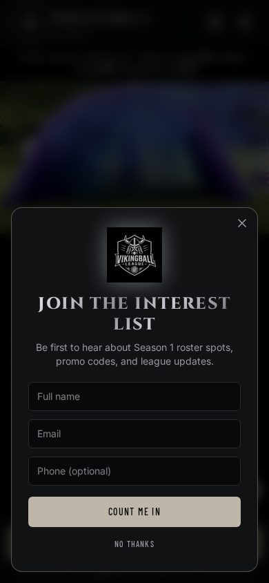 Vikingball League website shown on a mobile phone